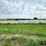 2024-mixed-grass-hay-round-bales-(bid-per-unit)-image-4