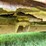 #1040-•-2000-chevy-1500-truck-(has-wi-title)-image-116