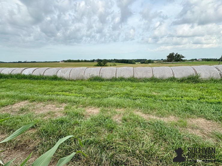 2024-mixed-grass-hay-round-bales-(bid-per-unit)-image-5
