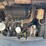 2018-bobcat-e55-image-17