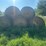 **sold-onsite-only---no-online-bids-accepted**-hay-image-4