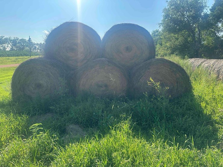 **sold-onsite-only---no-online-bids-accepted**-hay-image-4