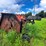 bush-hog-2615-image-5