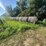 **sold-onsite-only---no-online-bids-accepted**-hay-image-5