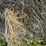 2024-mixed-grass-hay-round-bales-(bid-per-unit)-image-7