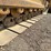 2016-caterpillar-d6k-image-38