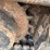 2018-bobcat-e55-image-19