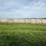 2024-mixed-grass-hay-round-bales-(bid-per-unit)-image-8