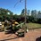 **sold-onsite-only---no-online-bids-will-be-accepted**-misc.-items-image-20