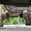 deere-1010d-image-112