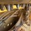 2020-caterpillar-299d3-xe-image-11