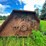 bush-hog-2615-image-6