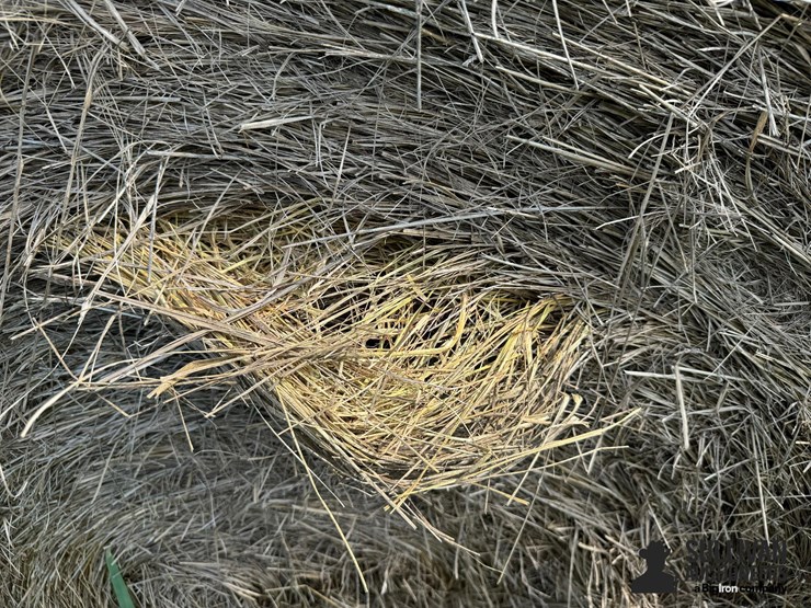 2024-mixed-grass-hay-round-bales-(bid-per-unit)-image-7