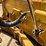 2019-caterpillar-d6-image-18