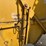 vermeer-605f-image-15