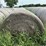 2024-mixed-grass-hay-round-bales-(bid-per-unit)-image-5
