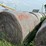 2024-mixed-grass-hay-round-bales-(bid-per-unit)-image-6