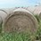2024-mixed-grass-hay-round-bales-(bid-per-unit)-image-2