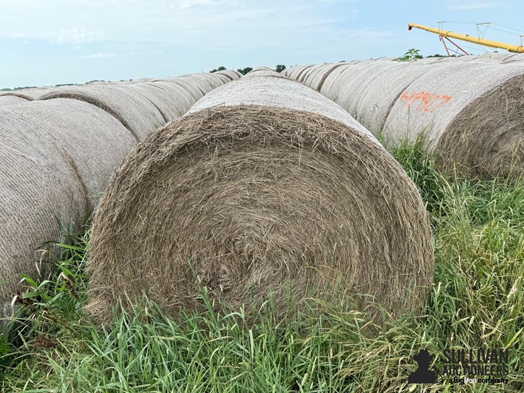 2024-mixed-grass-hay-round-bales-(bid-per-unit)-image-2