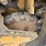 2015-caterpillar-259d-image-23