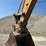 2011-caterpillar-329dl-image-17