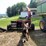 #1066-•-sperry-new-holland-892-chopper-(arcadia,-wi)-image-2