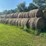 **sold-onsite-only---no-online-bids-accepted**-hay-image-3