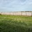 2024-mixed-grass-hay-round-bales-(bid-per-unit)-image-6