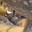caterpillar-279c2-image-15