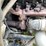 #1013-•-1992-freightliner-cummins-(has-mn-title)-image-50