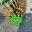 john-deere-400-image-17