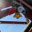 hardi-500-image-18