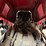 massey-ferguson-4708-image-21