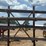 #179-•-cantilever-storage-rack-image-1