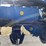 1998-kinze-2600-image-42