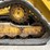 caterpillar-289c2-image-15