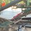 #125-•-barn-sweep-conveyor-image-5