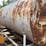 #254-•-water-wagon-trailer-image-4