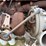 detroit-diesel-series-60-ddec-iv-500-hp-w/-allison-ht-750drd-image-9