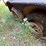 16’-t/a-bumper-pull-trailer-image-4