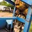 evco-85-ton-power-swivel-mtd.-on-19’-t/a-gooseneck-trailer-image-15