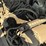 #270-•-doosan-c35-5-forklift-image-40
