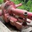 king-53ga2-power-swivel-w/-bowen-gear-box,-(2)-hydraulic-motors-image-4