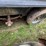 2012-maxey-welding-16’-t/a-bumper-pull-cool-down-trailer-image-4