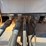 2012-total-equipment-and-service-15k-1-1/4”-4-axle-coil-tubing--trailer-image-7