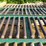 #161-•-2-roll-cases-image-4