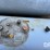 2000-trinity-tank-image-3