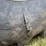 ez-trail-500-image-6