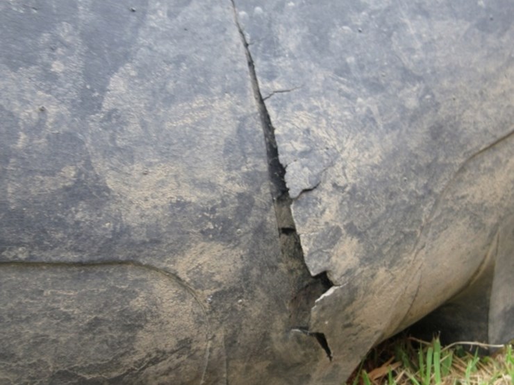 ez-trail-500-image-6