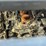 takeuchi-tl12r2-image-16